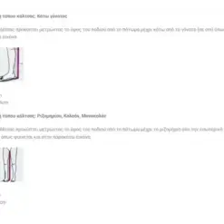 Duomed Κάλτσα Άνω Γόνατος CLASS II (23-32 mmHg) – Ανοιχτά Δάχτυλα 5 Duomed Κάλτσα Άνω Γόνατος CLASS II (23-32 mmHg) – Ανοιχτά Δάχτυλα -